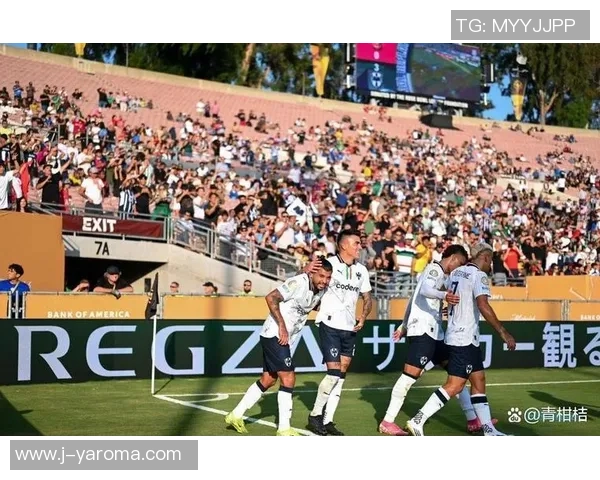 足球场上冲突不断 球星暴力打架事件引发热议